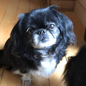 Meet your Posher, Janessa